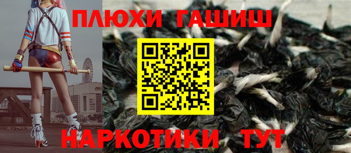 Губкин  ГАШ гашик  Вход с VPN  ГАШ Ice-O-Lator 