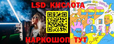 крисы Дмитров