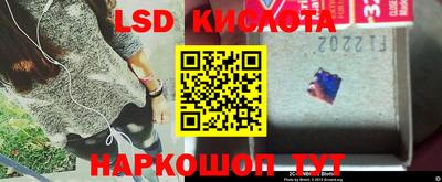 крисы Дмитров