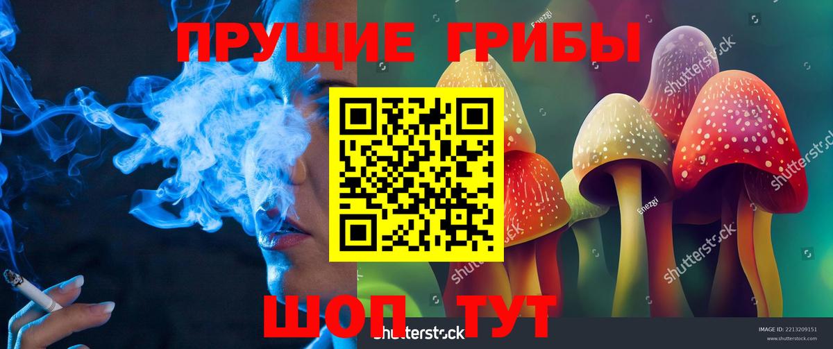 наркошоп  Вход с VPN  Губкин  Псилоцибиновые грибы Psilocybe  Галлюциногенные грибы Psilocybine cubensis 