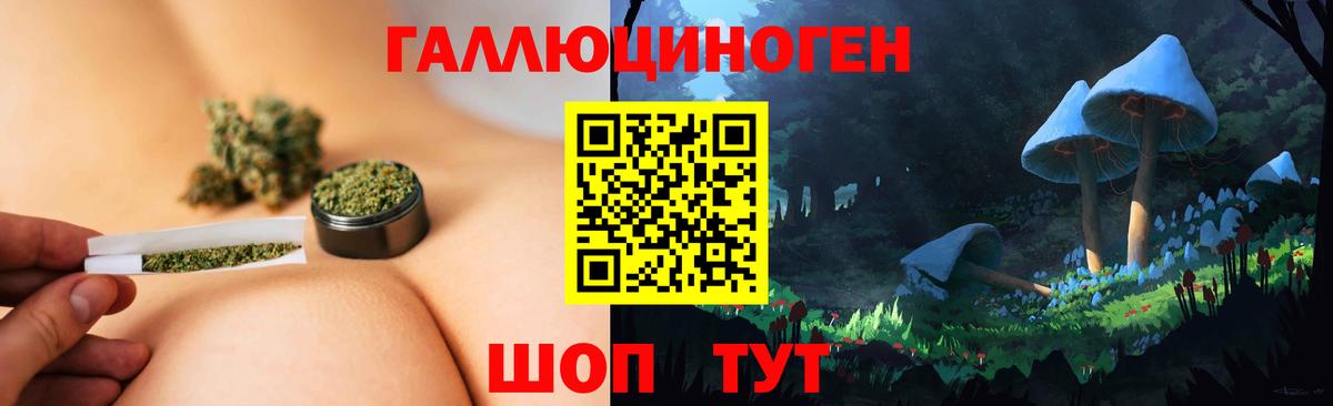Псилоцибиновые грибы прущие грибы Губкин